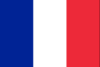 logo French Army